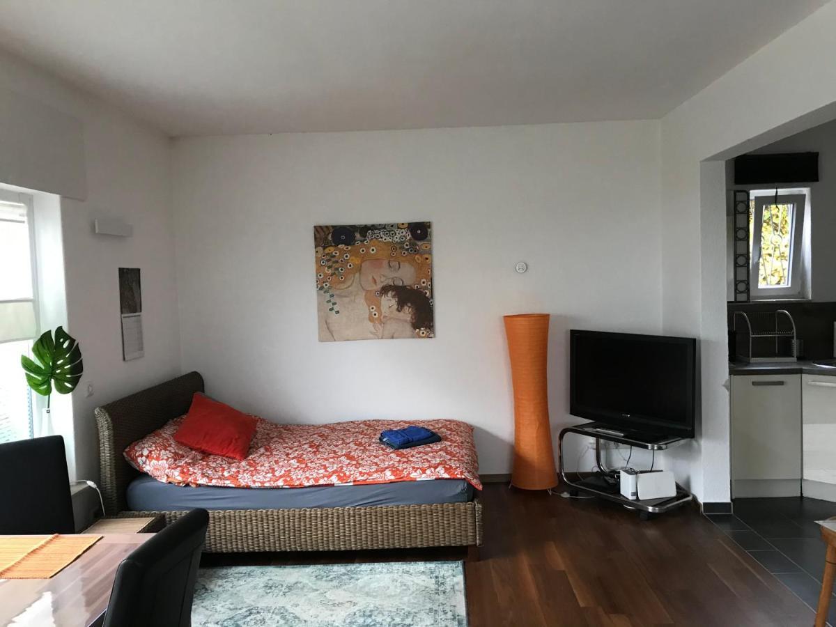 Grosses, Helles Apartement - Naehe Marburg & Giessen Fronhausen Εξωτερικό φωτογραφία