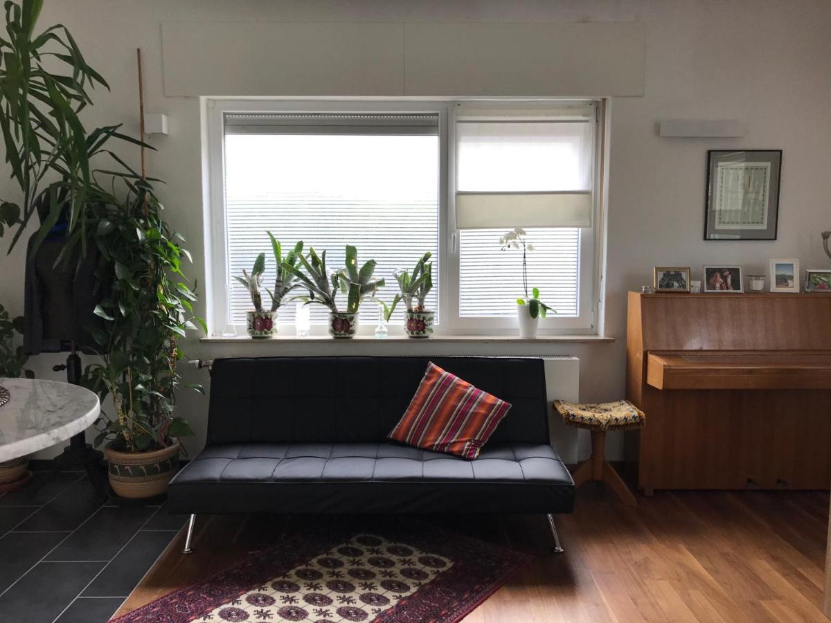 Grosses, Helles Apartement - Naehe Marburg & Giessen Fronhausen Εξωτερικό φωτογραφία