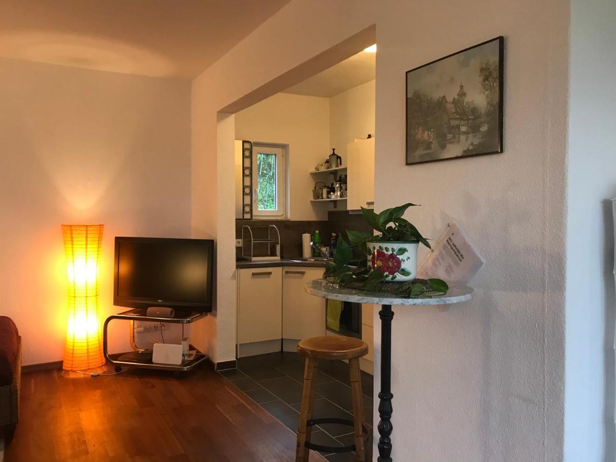 Grosses, Helles Apartement - Naehe Marburg & Giessen Fronhausen Εξωτερικό φωτογραφία